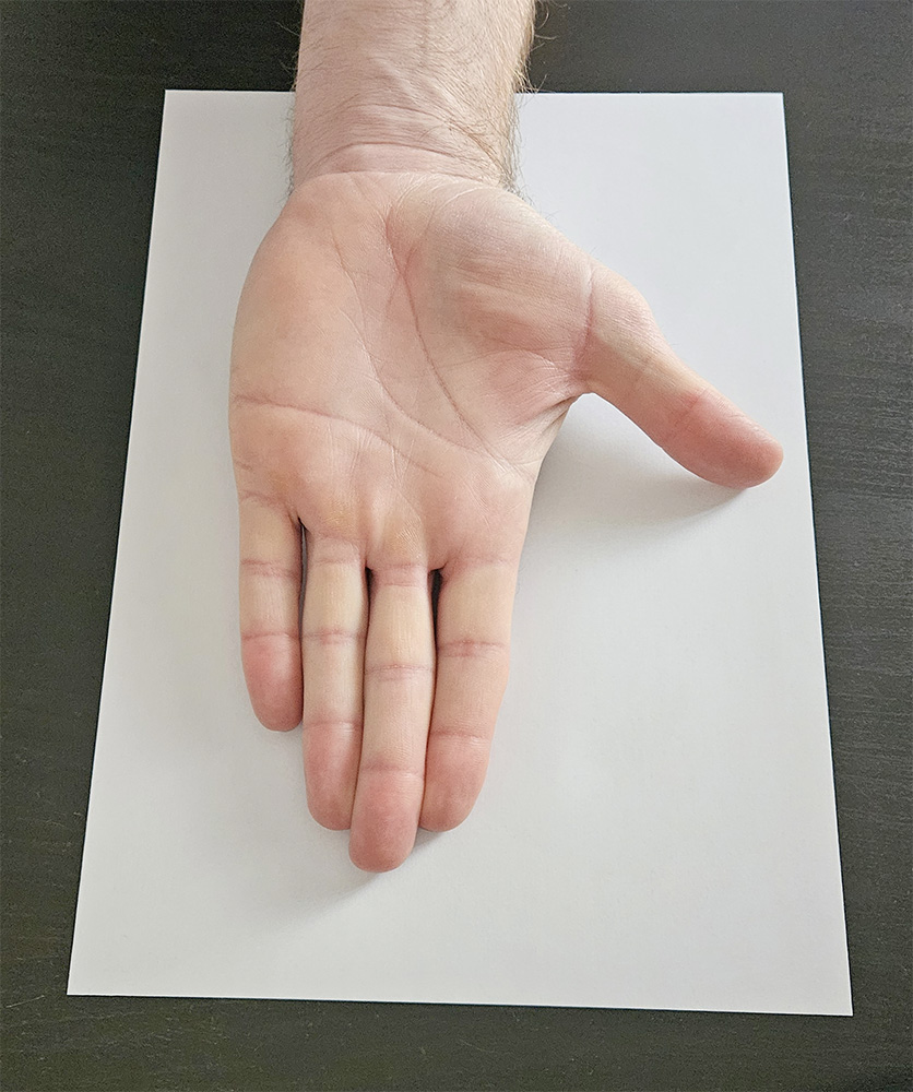 Photo exemple de main