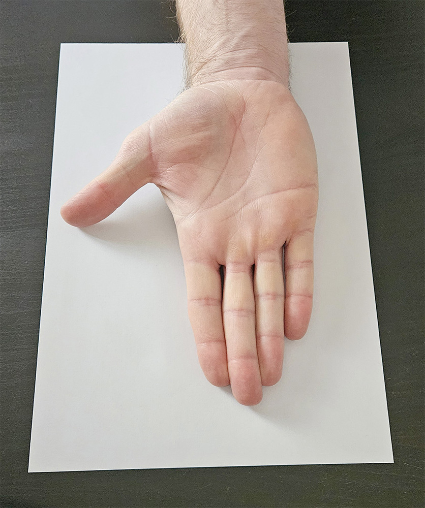 Photo exemple de main